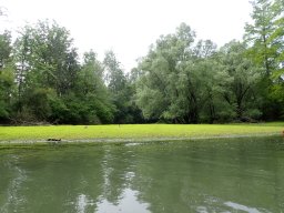Phillippsbureg, 2 Tage Tour, Mai 2026